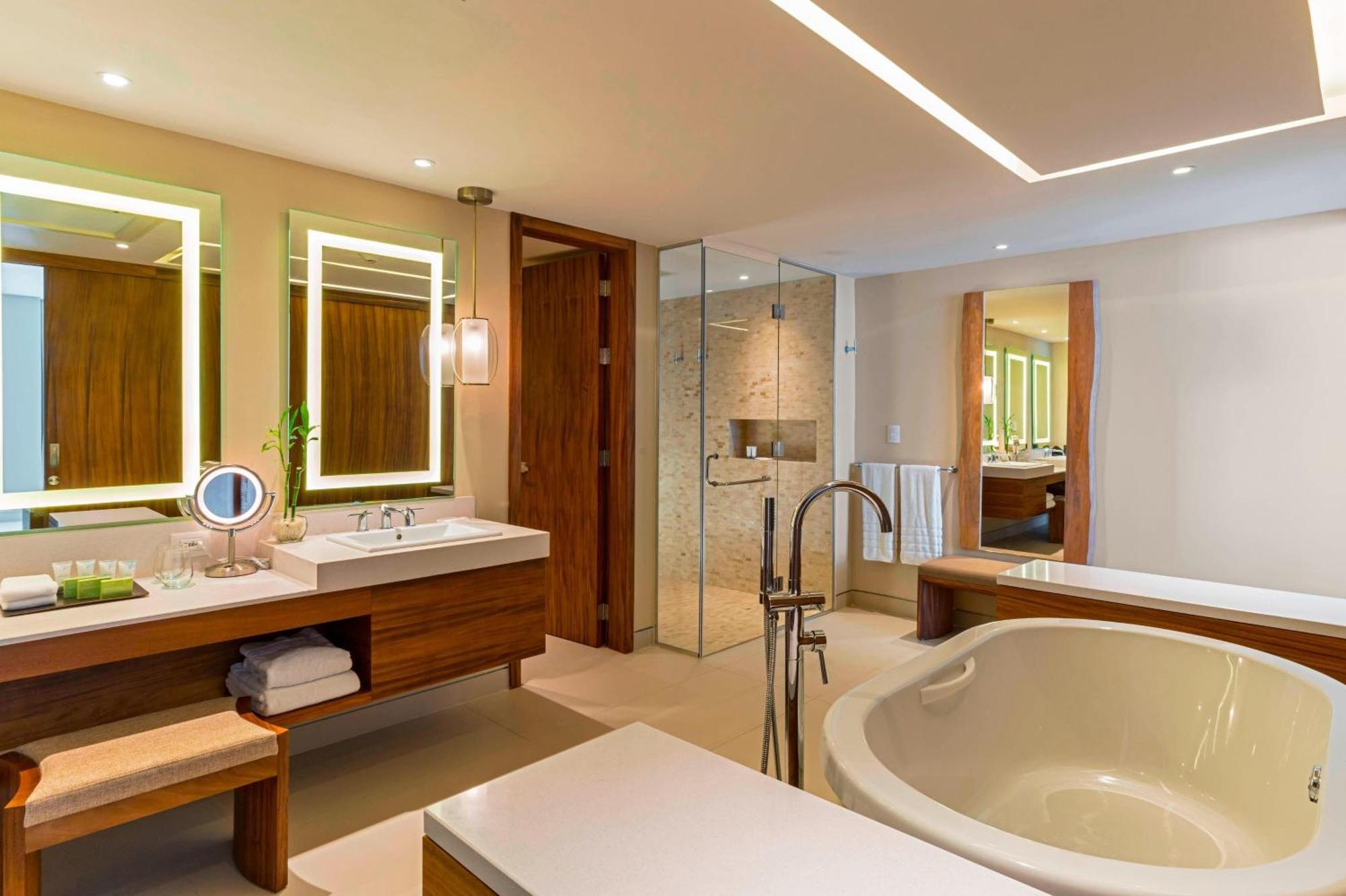 1 Bedroom Junior Suite 1 King Ocean view