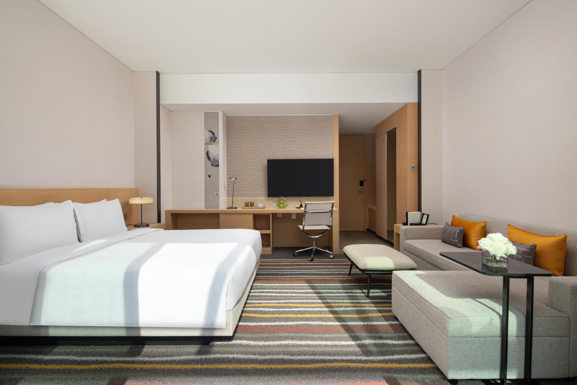 Executive Studio sofa-bed,1635916969:JPEG