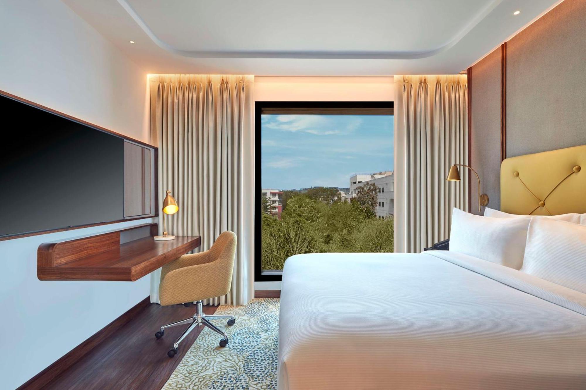 Deluxe King Suite,1639393863:JPEG