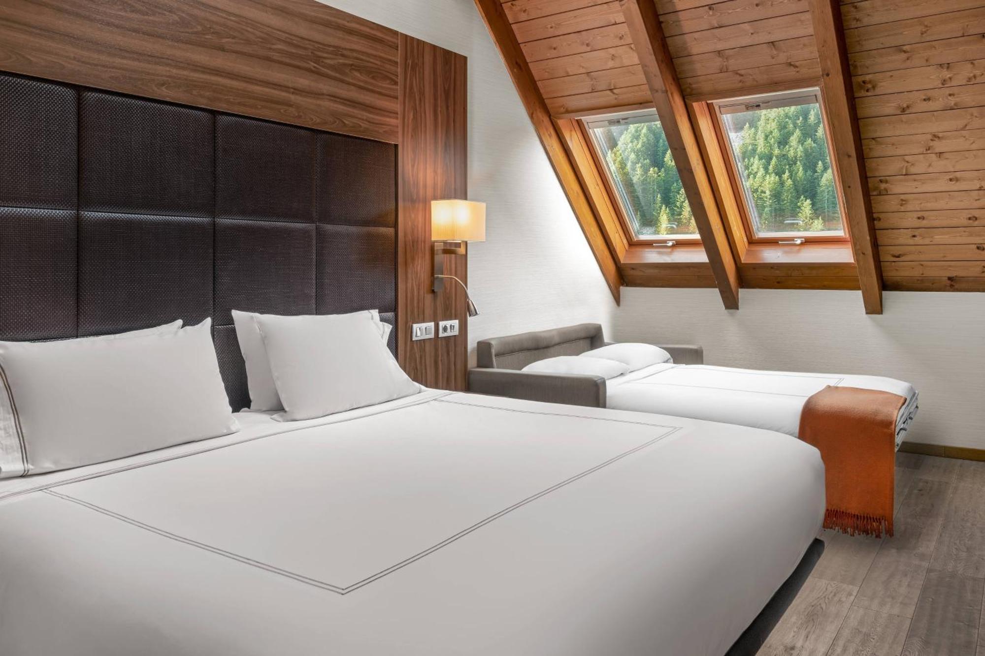 Deluxe King Room Mountain View