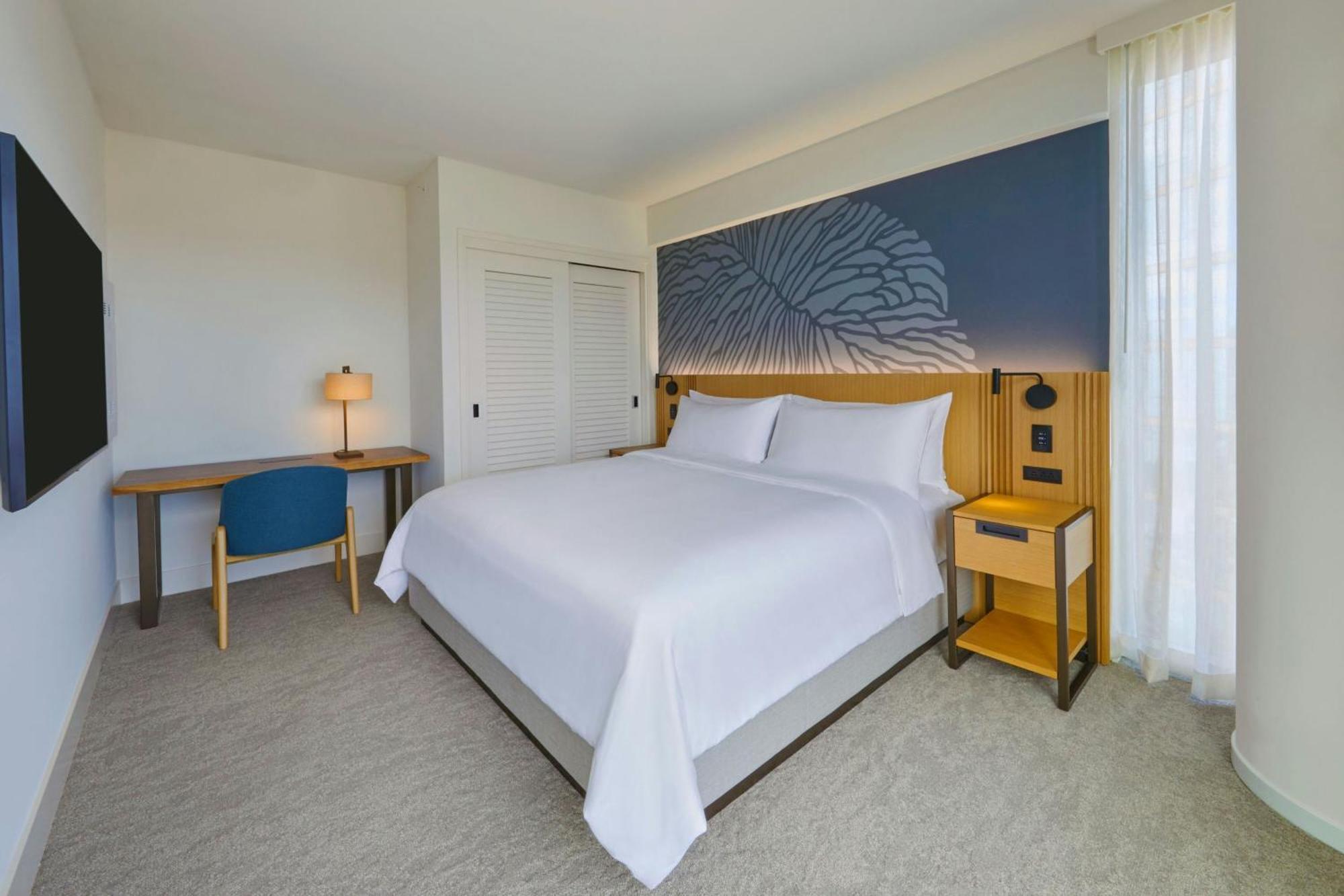 One-Bedroom King Suite Mountain View