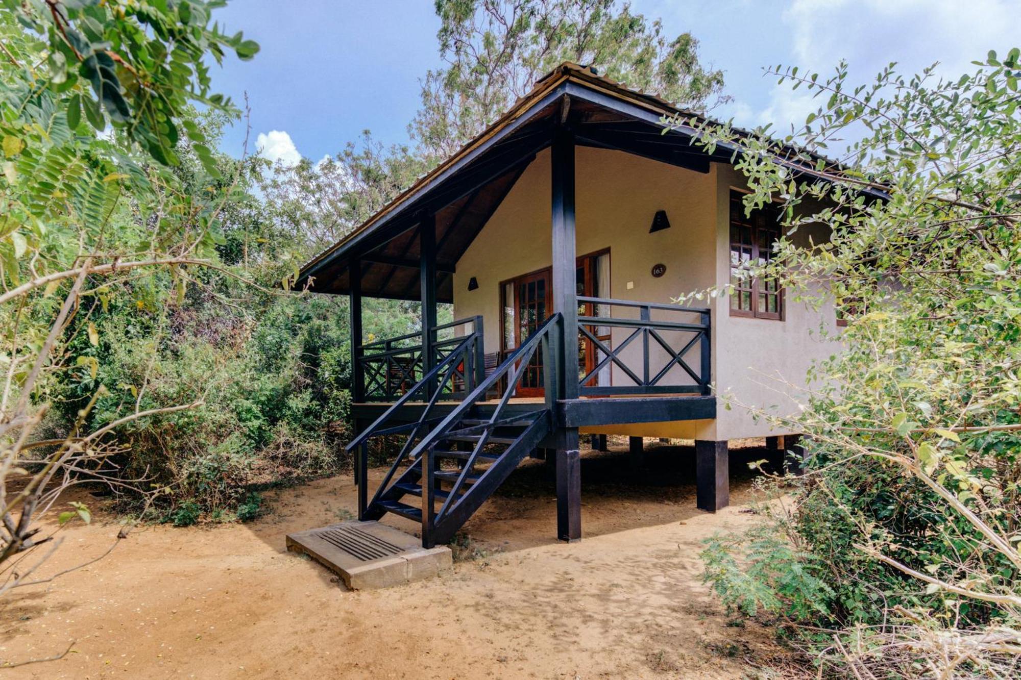 Jungle Chalet Twin Safari | Complimentary cocktail each if reserved during Stargazing experience