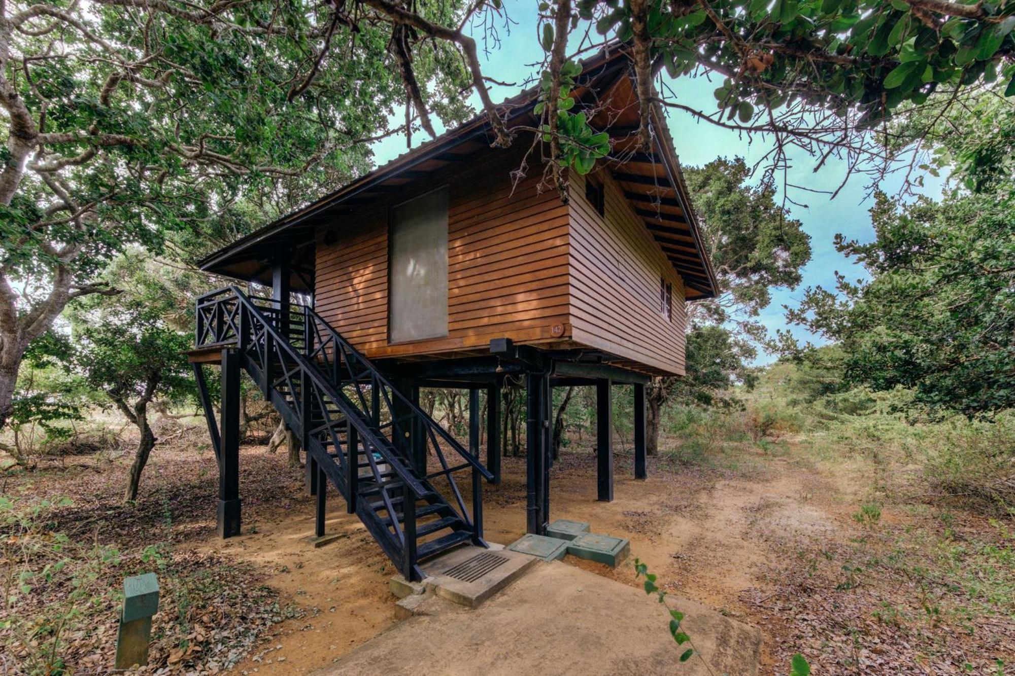 Beach Chalet King Safari | Complimentary cocktail each if reserved during Stargazing experience