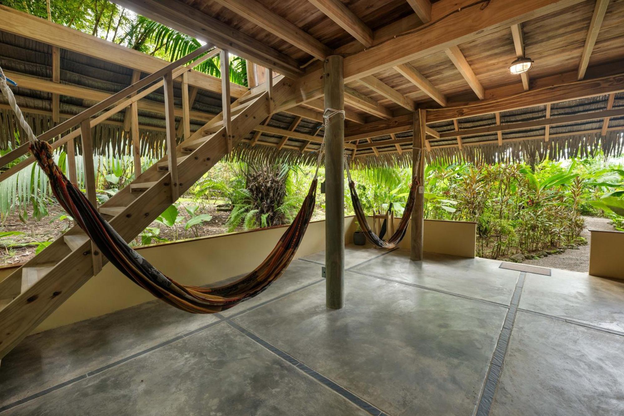 Bamboo