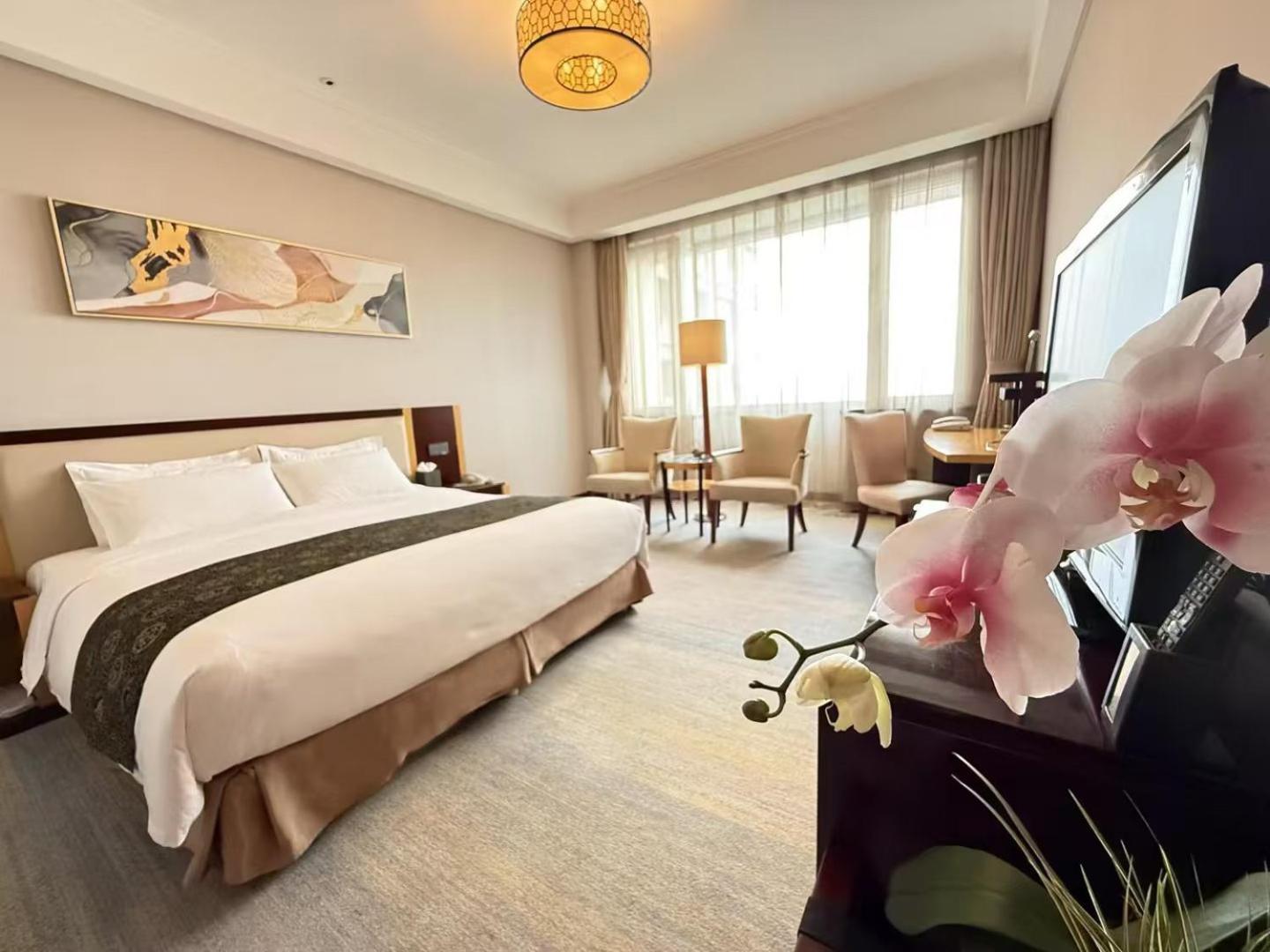 Superior Queen Room