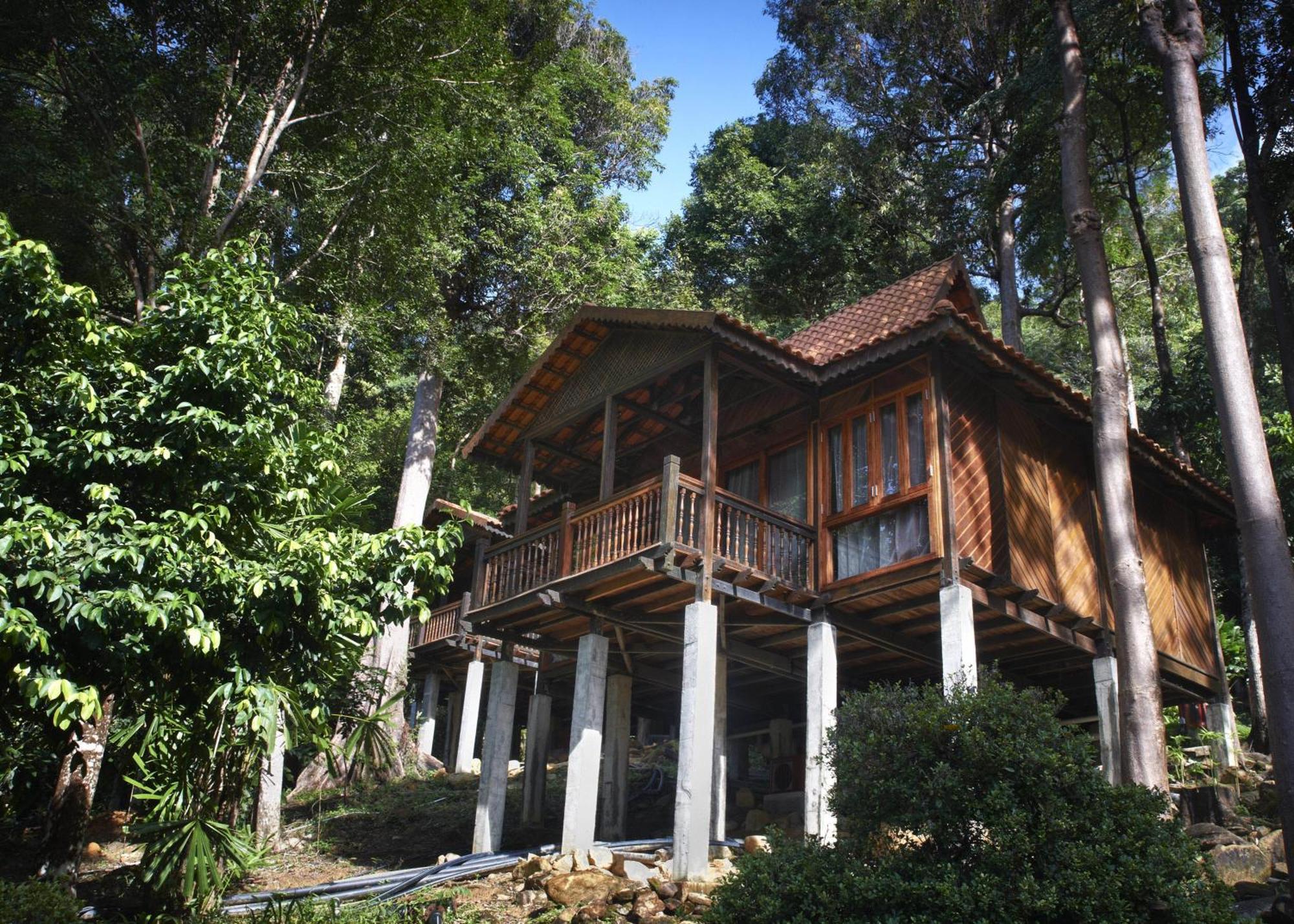 Rainforest Chalet