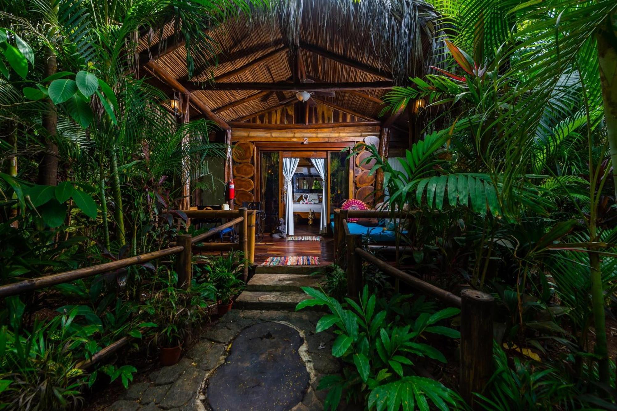 Jungle View Bungalow