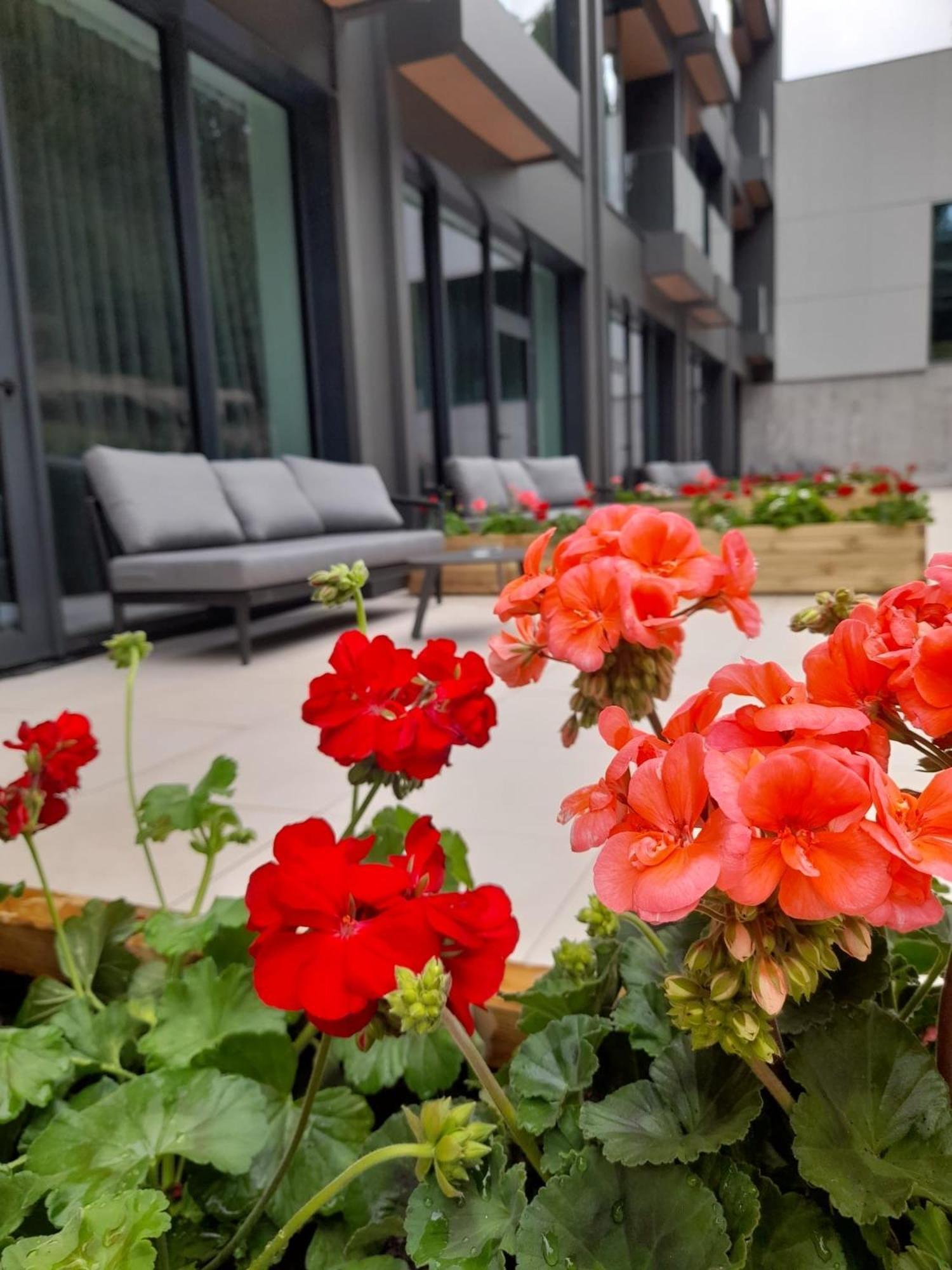 Double Room Terrace