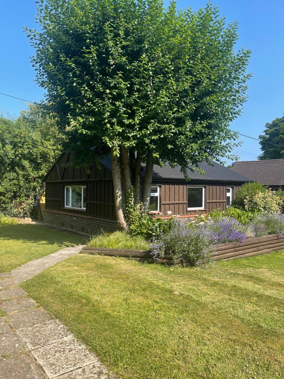 Cottage Garden View