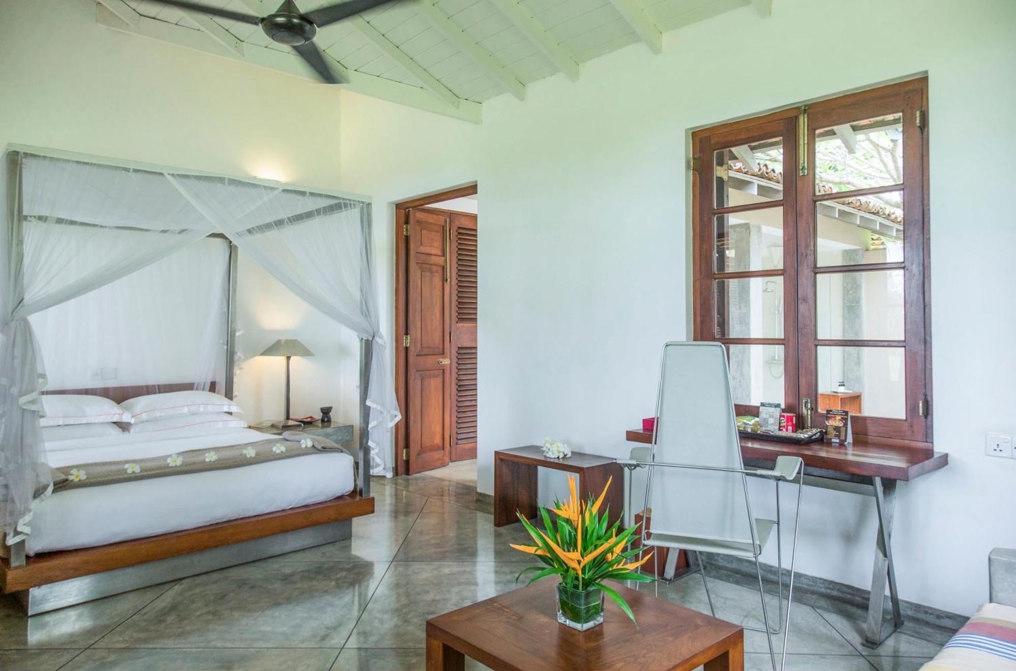 Suite Terrace