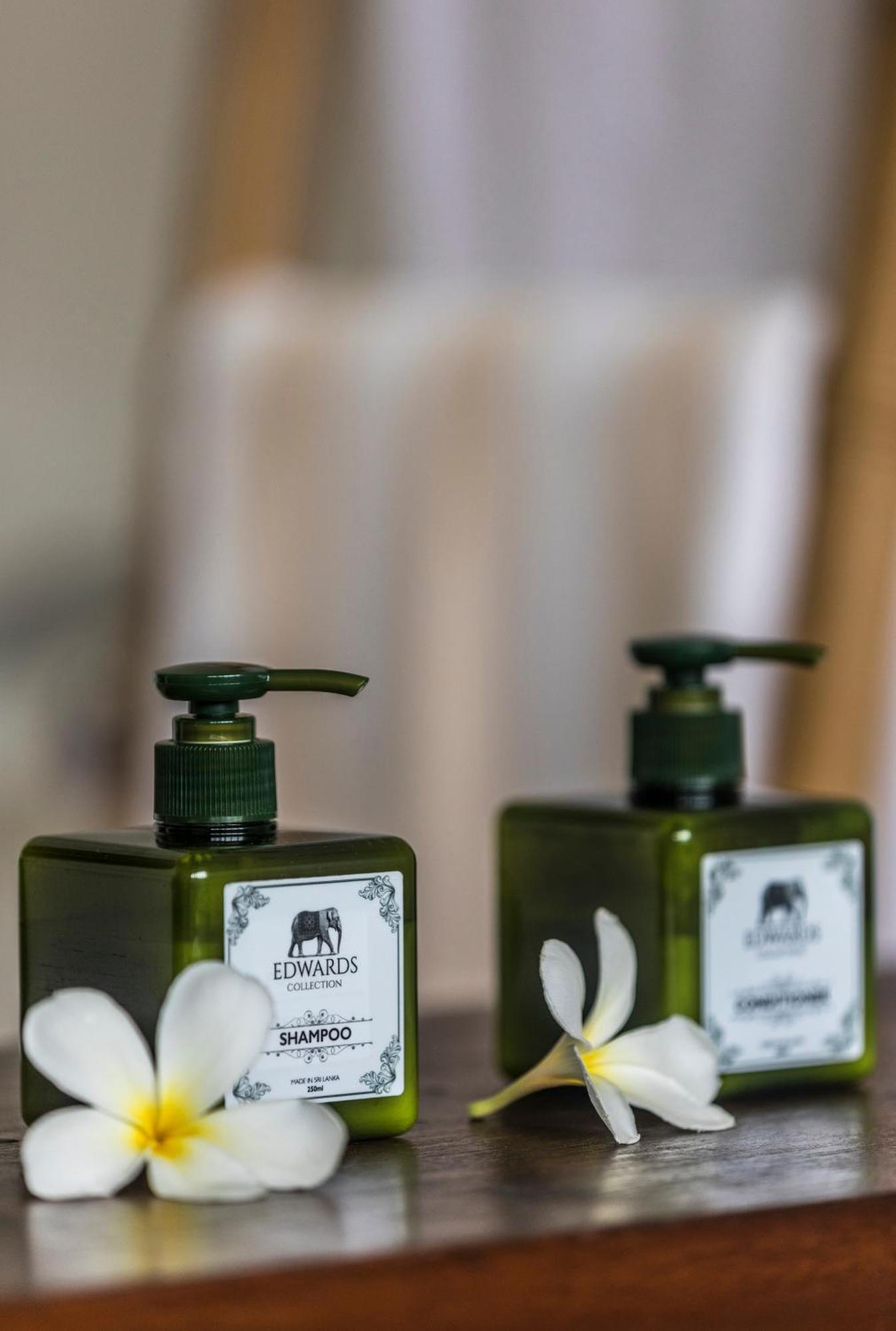 Suite Terrace