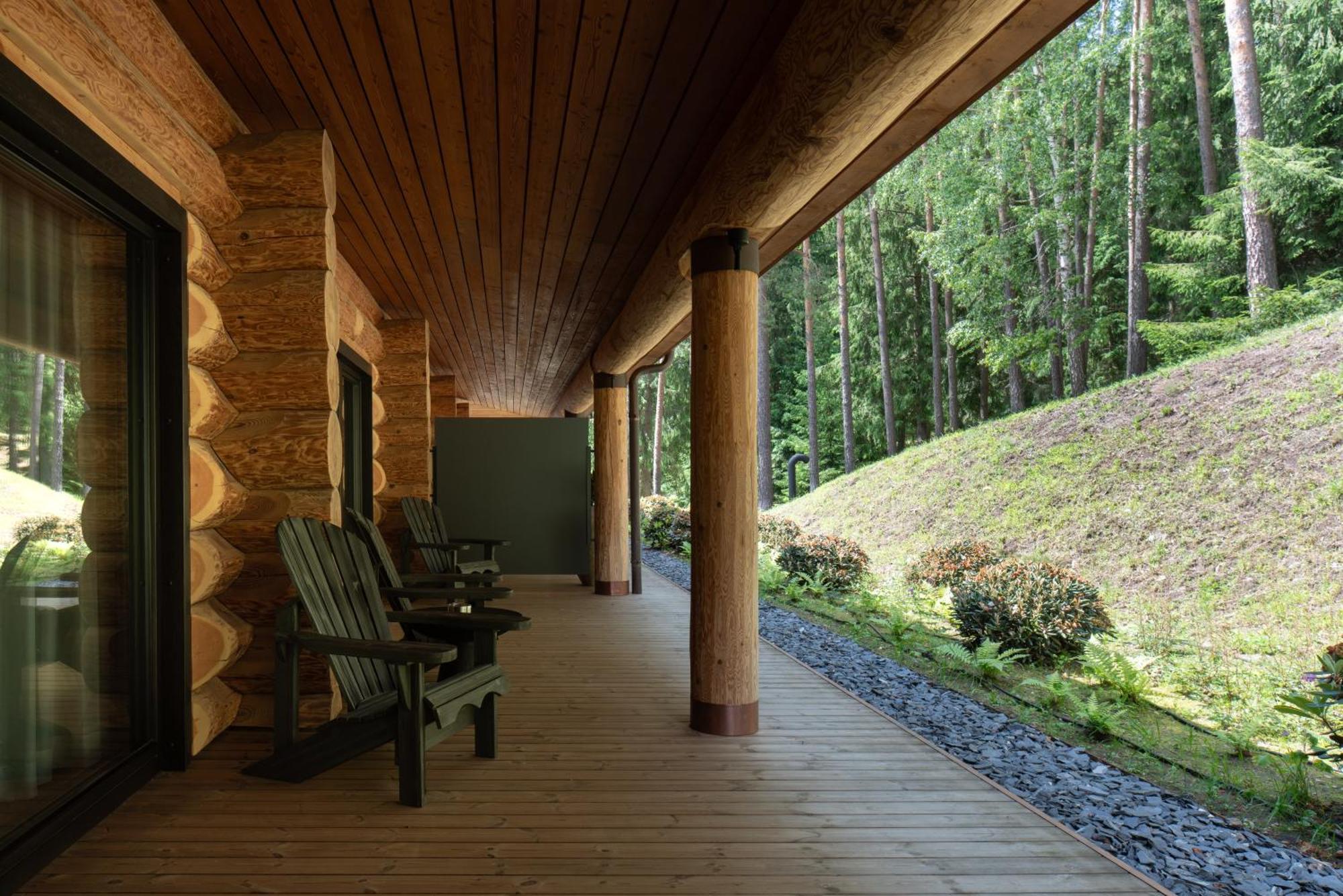 Forest Suite