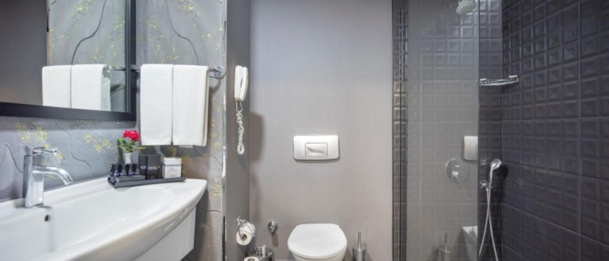 Double Room Mountain View