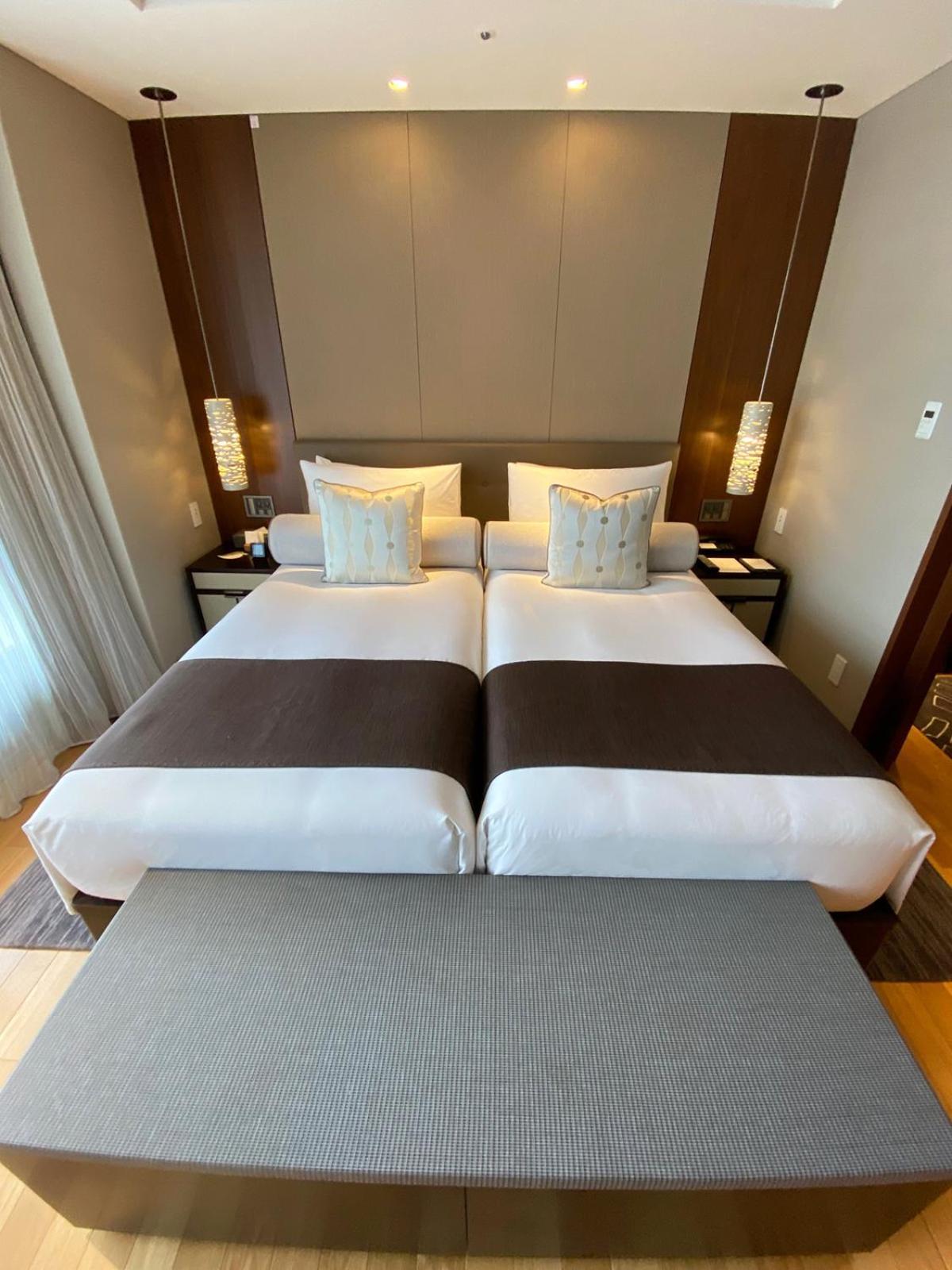 Deluxe One-Bedroom Apartment Twin
