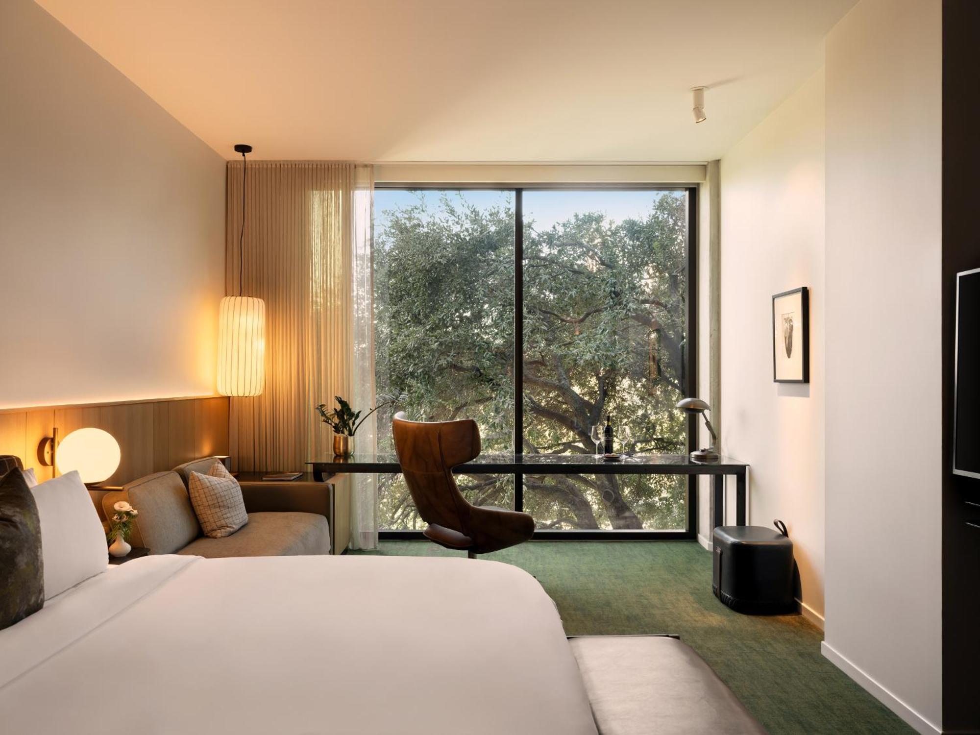 Deluxe King Suite
