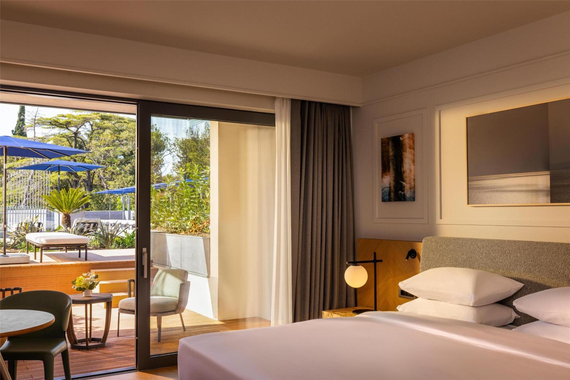 Deluxe King Room with One King Bed and Terrace