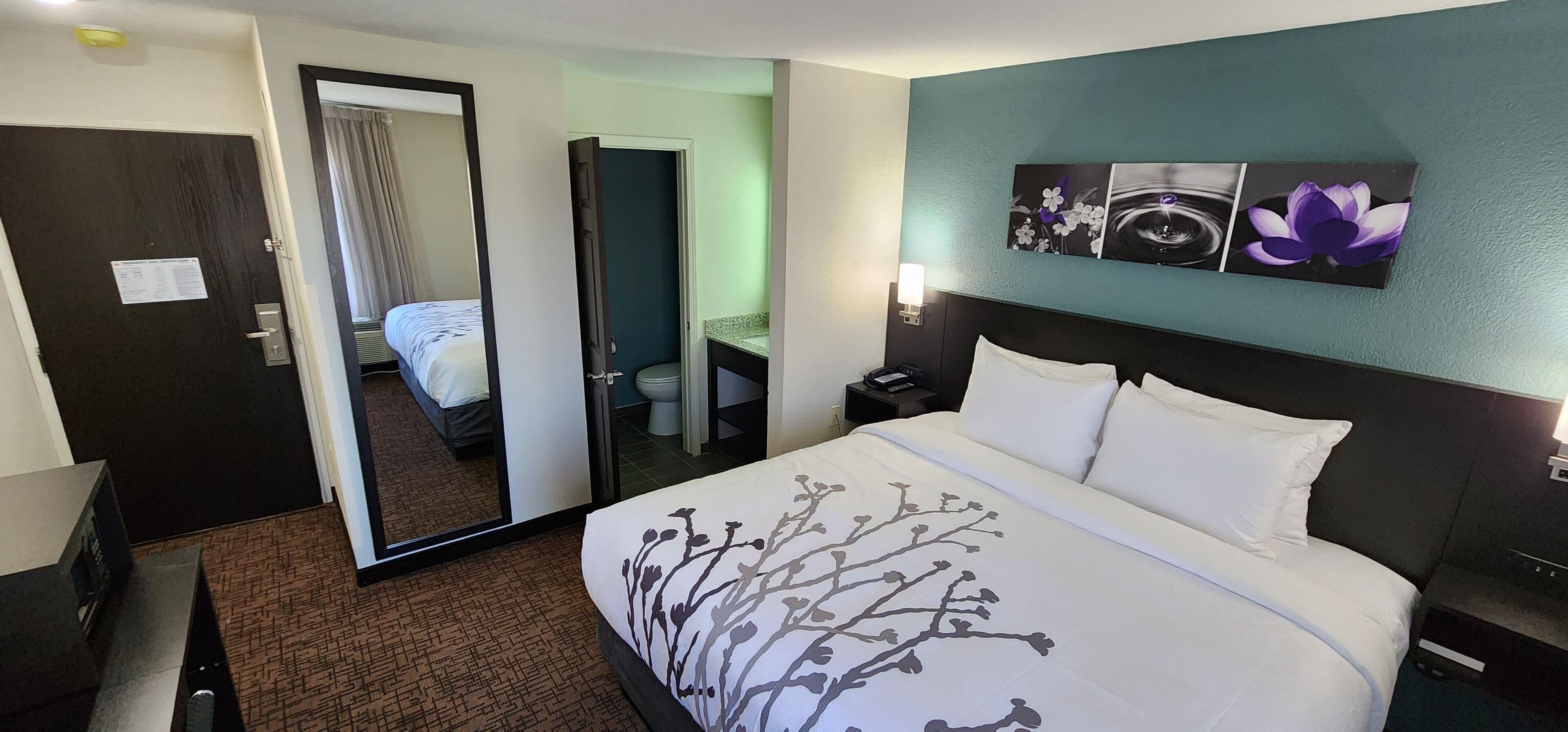 Single Room Roll Shower Disability Access or Non Smoking
