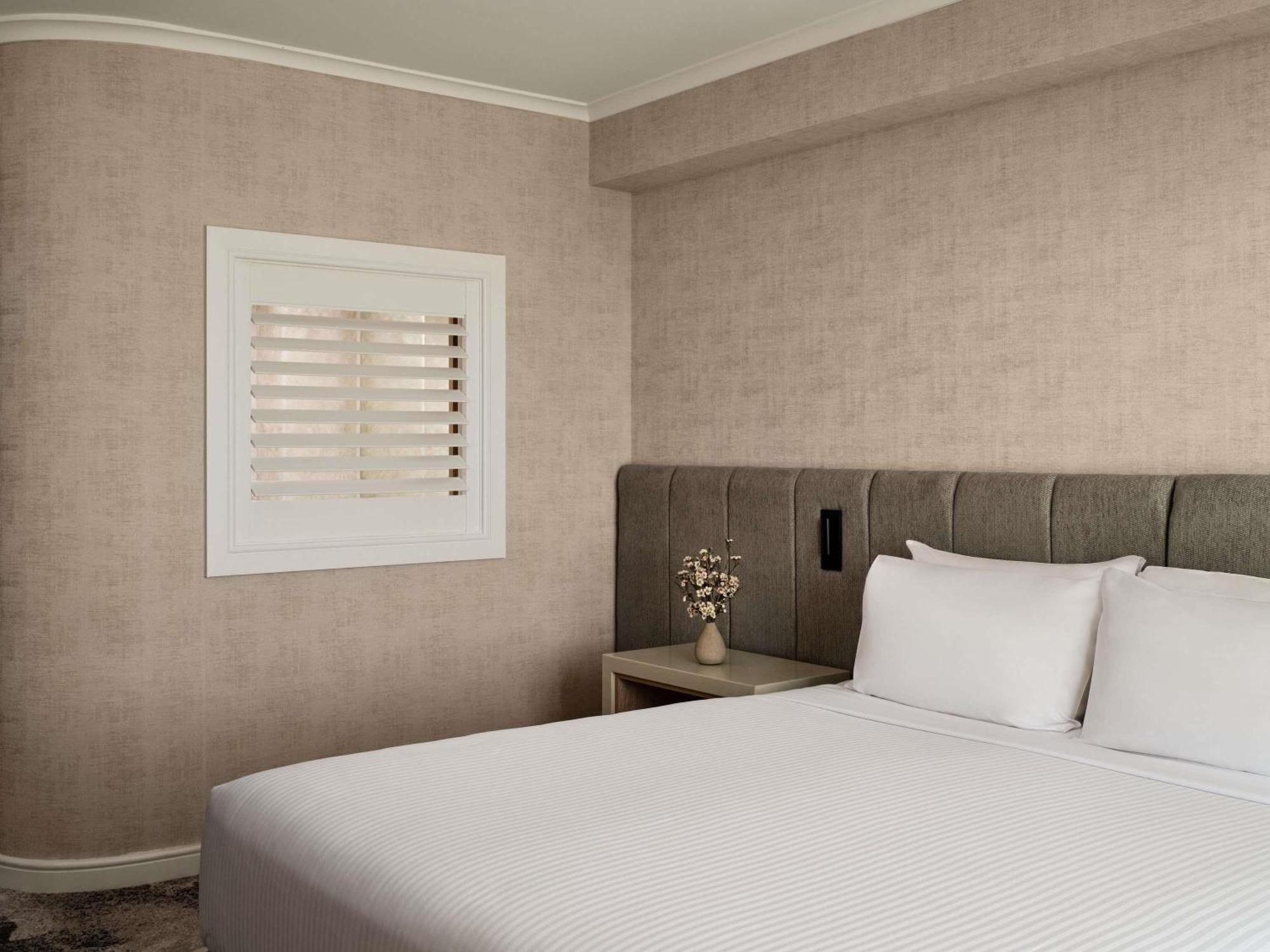 Superior King Room City View