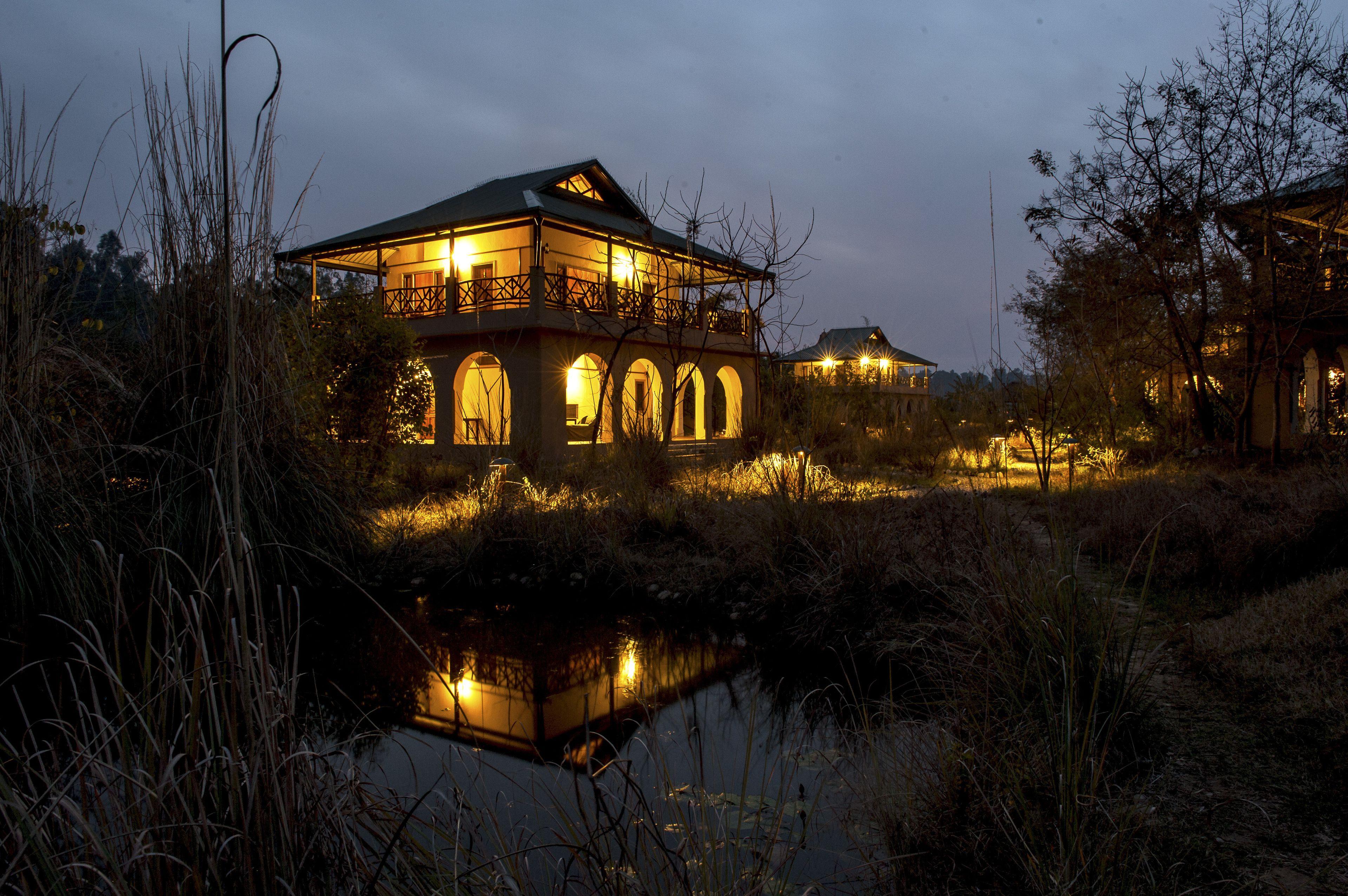 Jungle Lodge