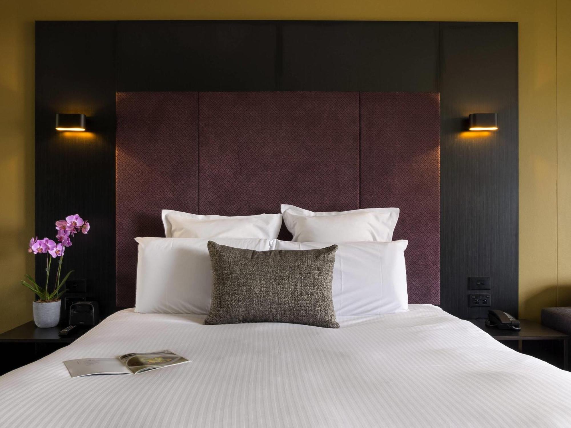Deluxe King Room with Park View,1717030203:JPEG