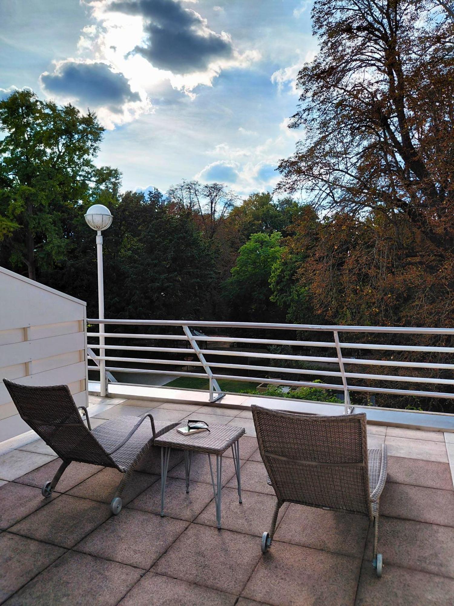 Deluxe Terrace Double Room Park View
