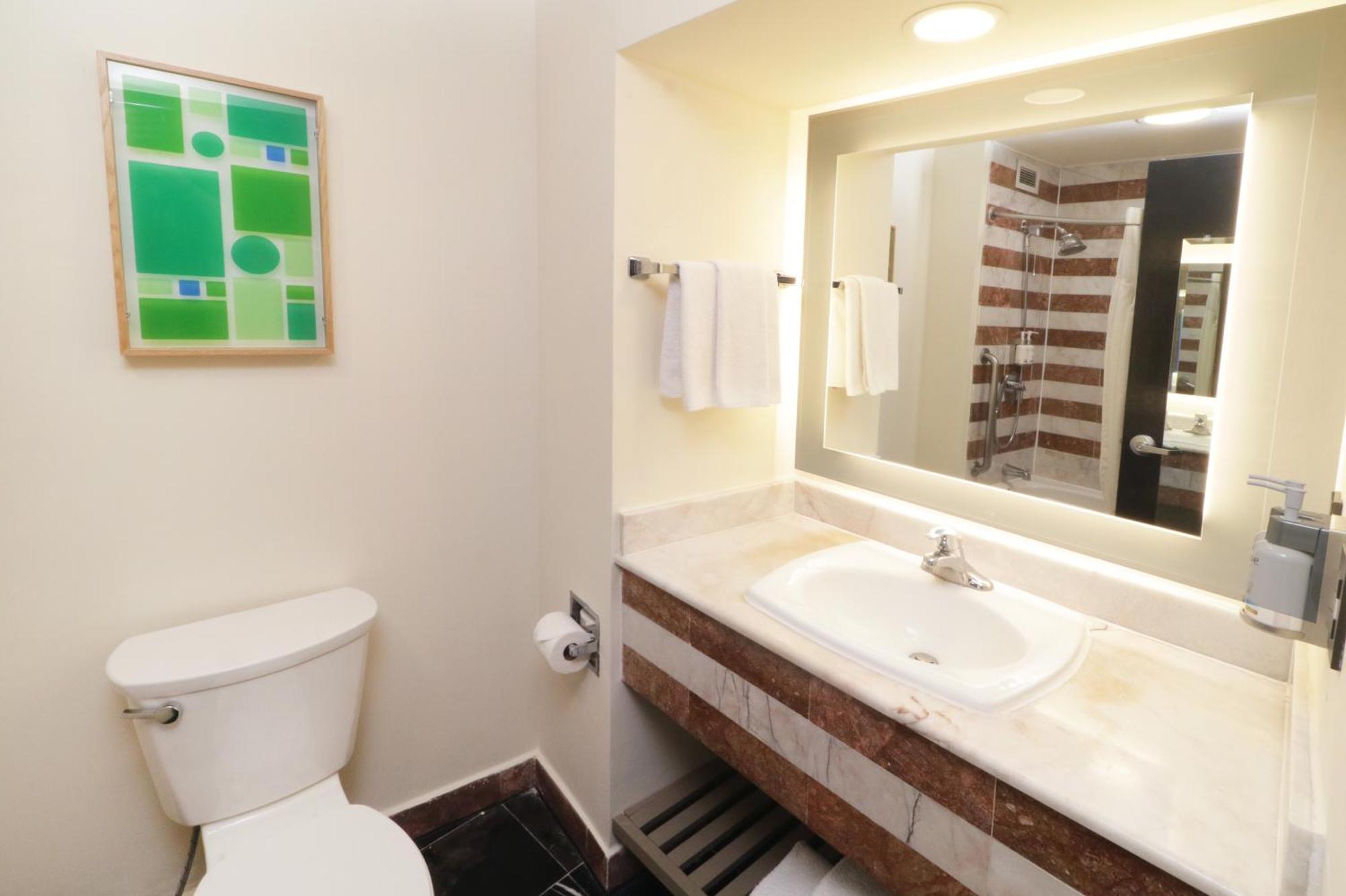 Habitación Premium