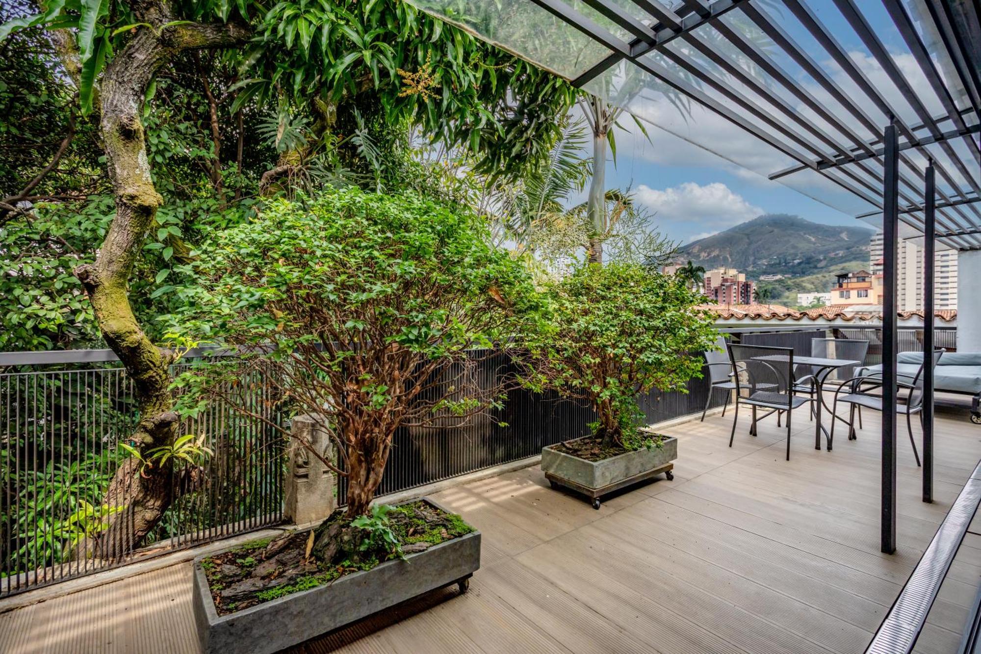 Suite Terrace