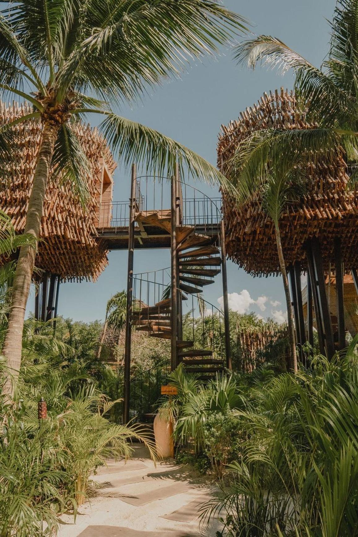 Jungle Treehouse