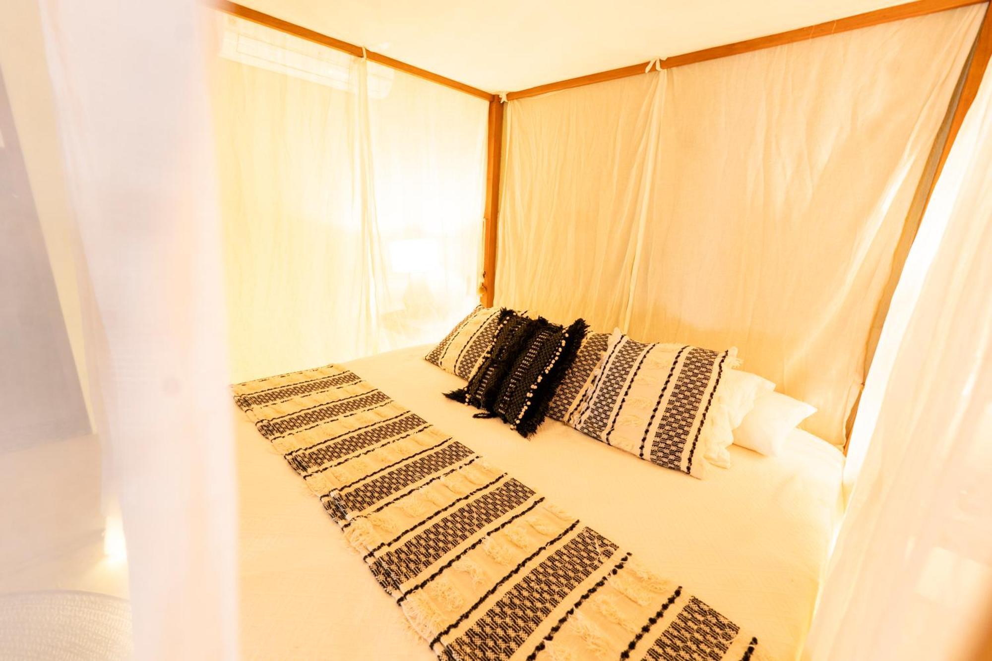 Superior King Suite
