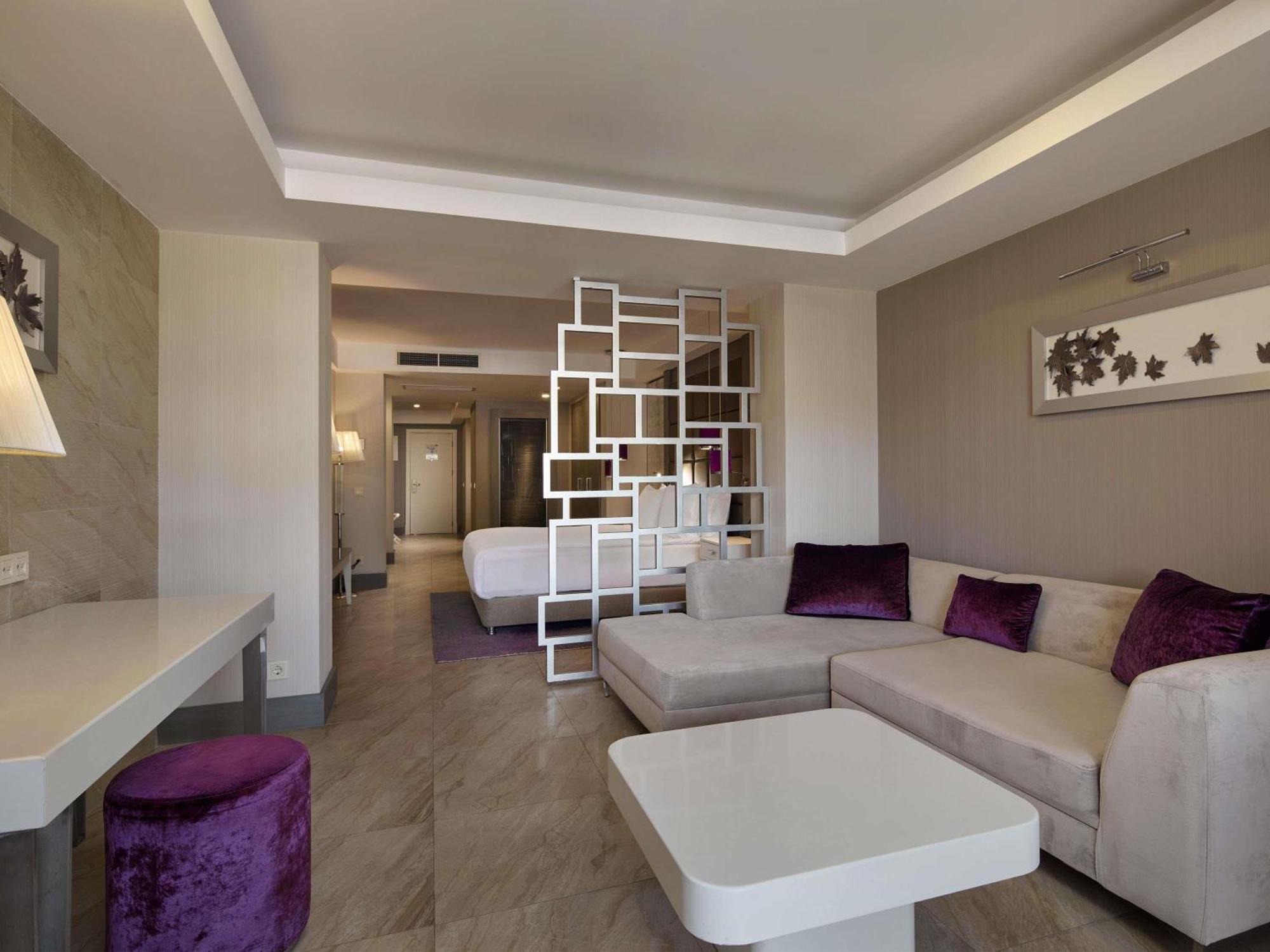 Deluxe Room Mountain View