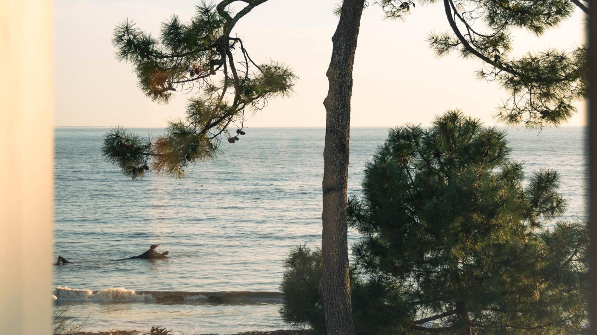 Suite Junior - Vue sur Mer