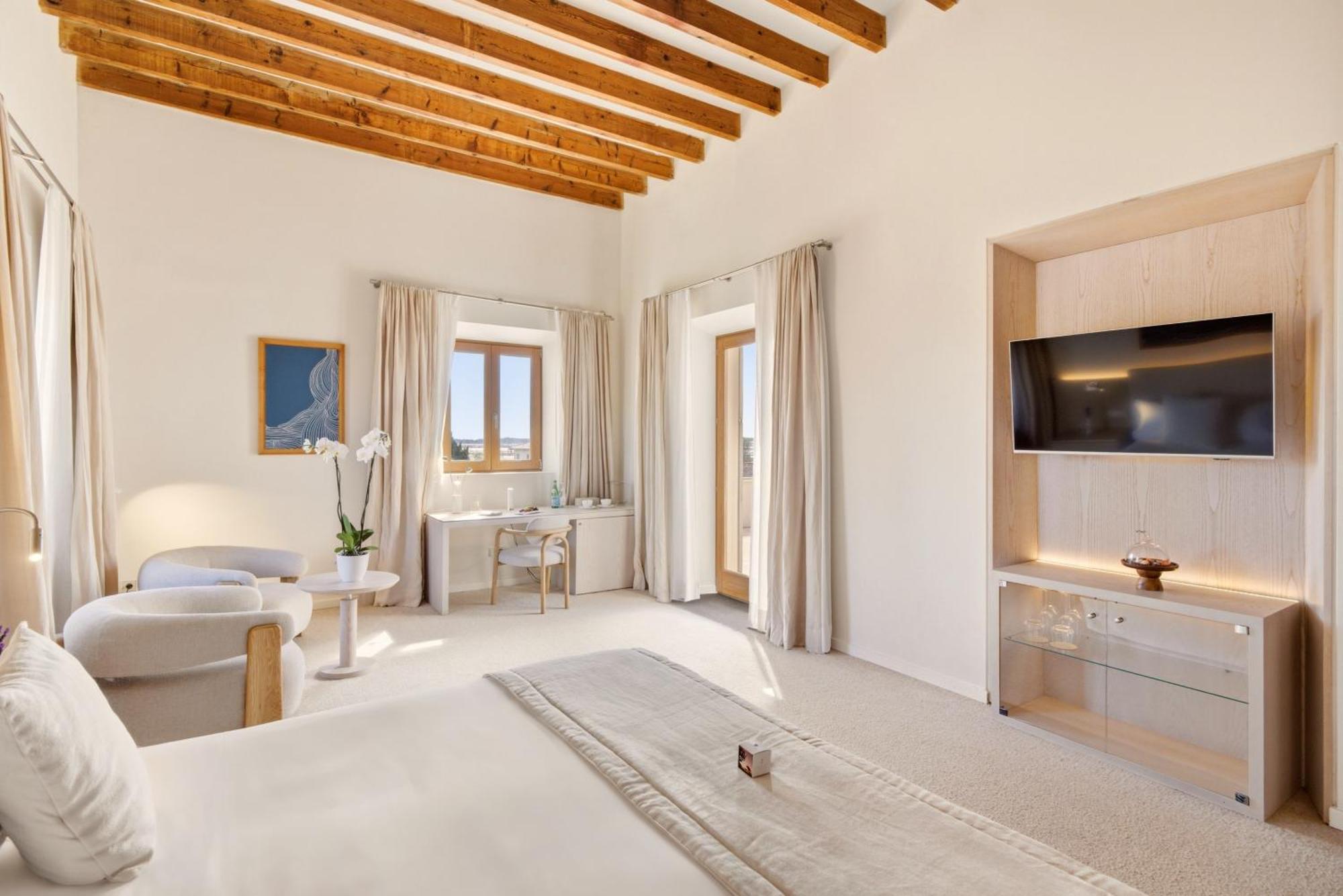 Luxury Suite with Terrace