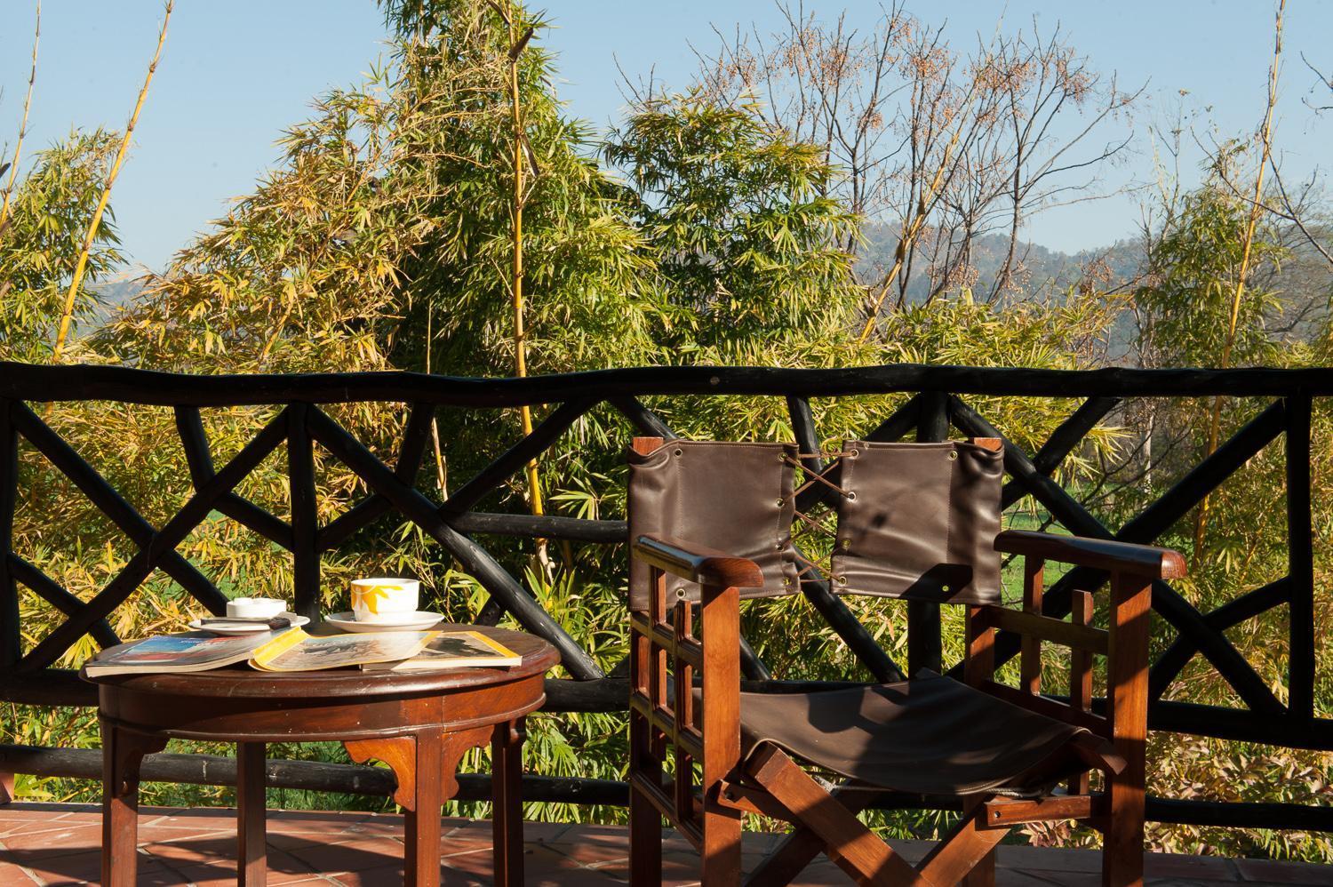 Jungle Lodge