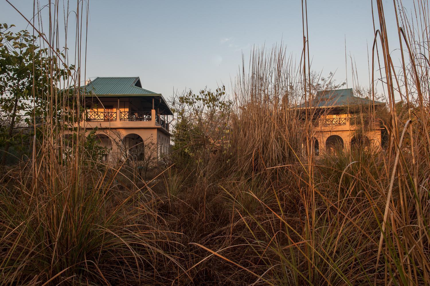 Jungle Lodge