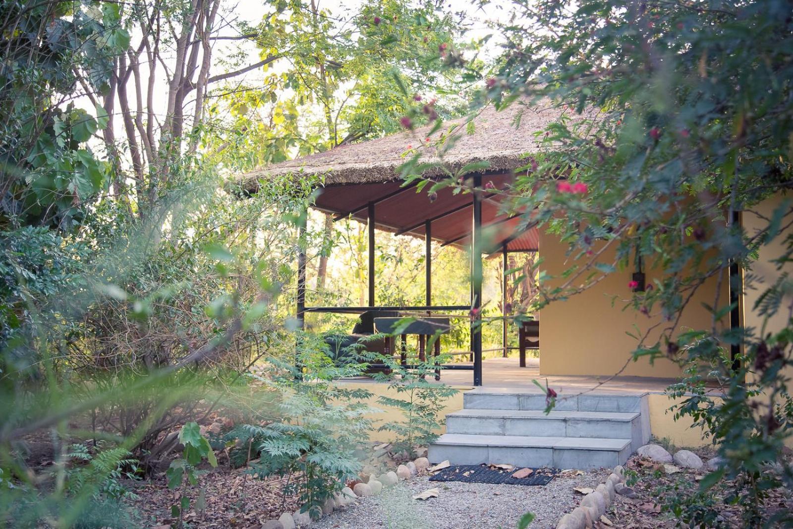 Jungle Cottage