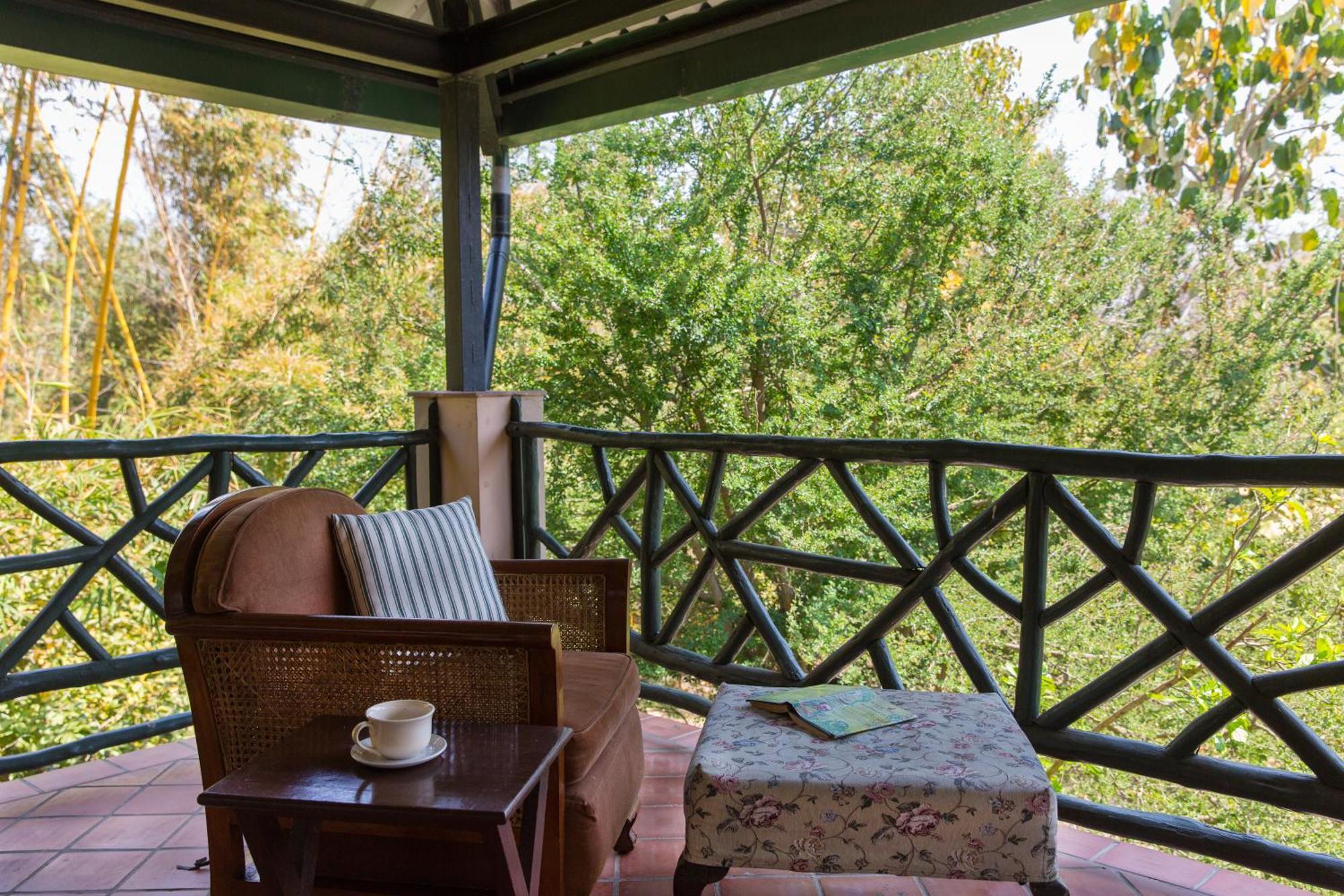 Jungle Lodge