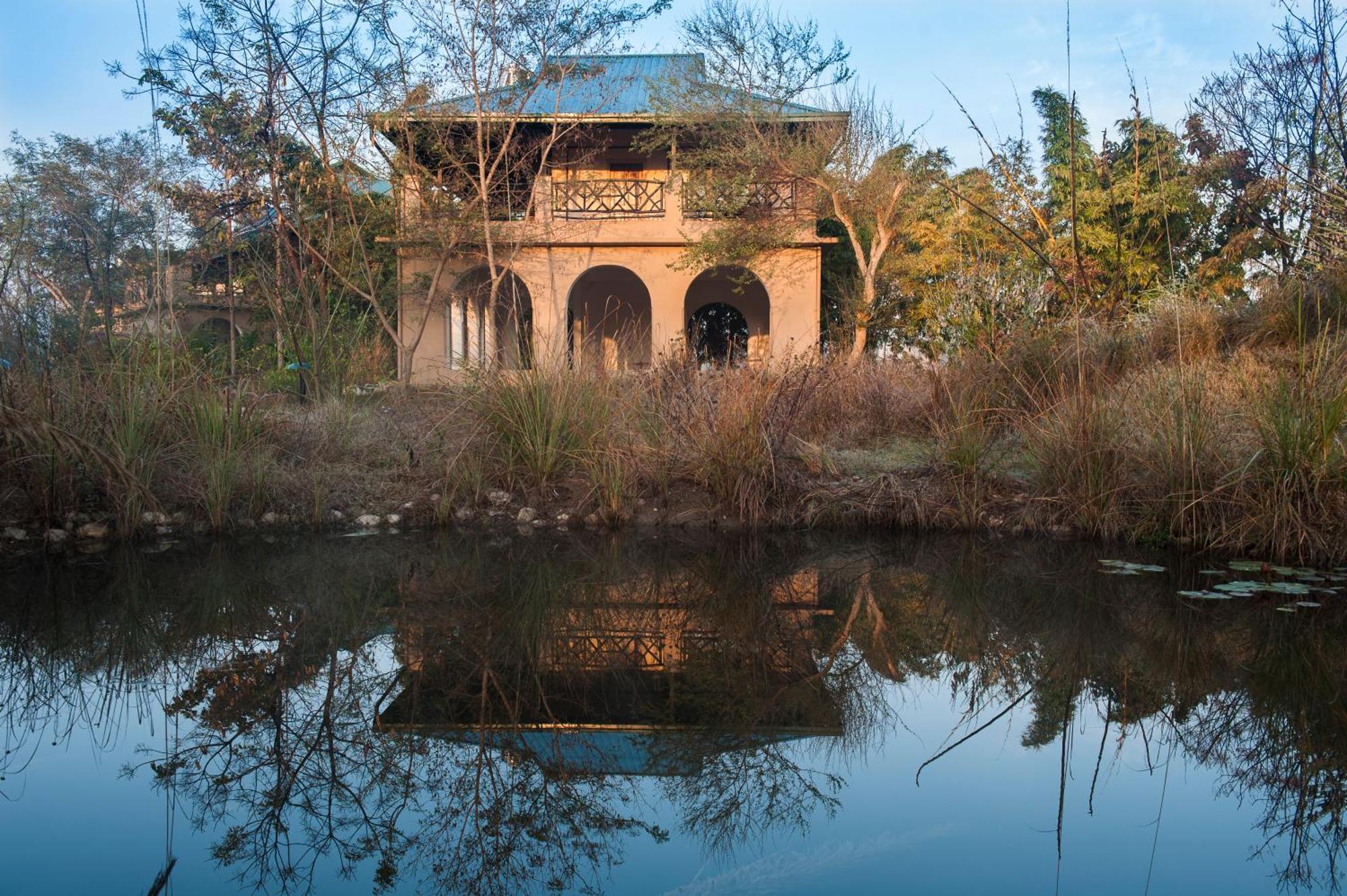 Jungle Lodge