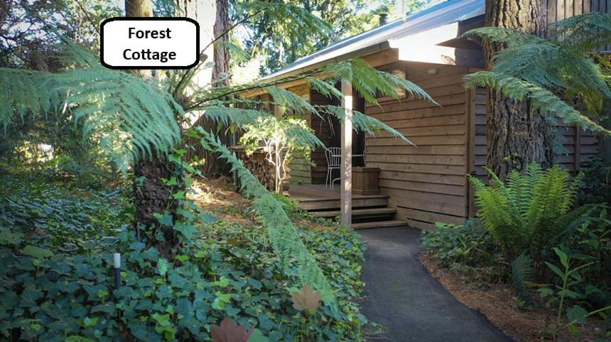 One Bedroom Cottage Forest