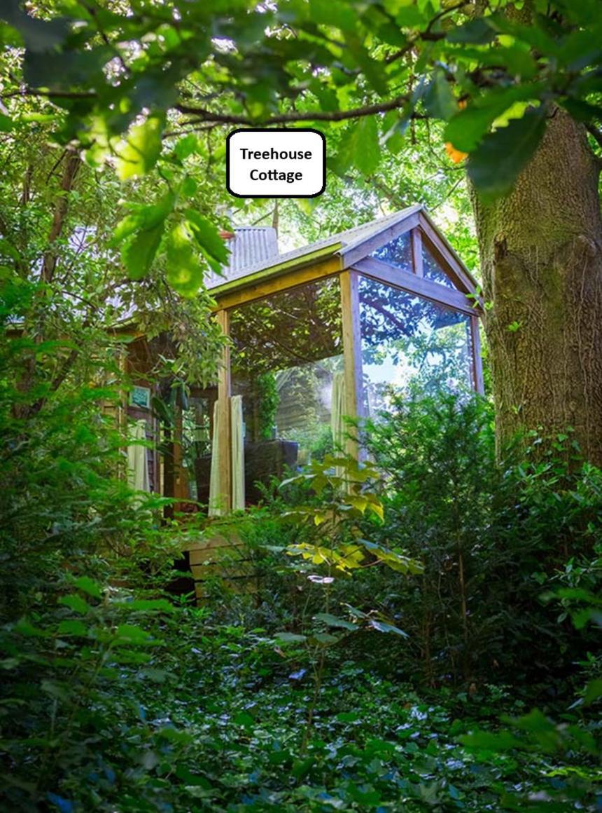 One Bedroom Cottage Treehouse