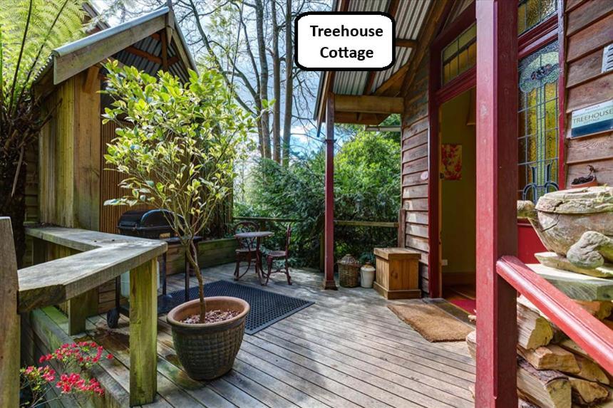 One Bedroom Cottage Treehouse
