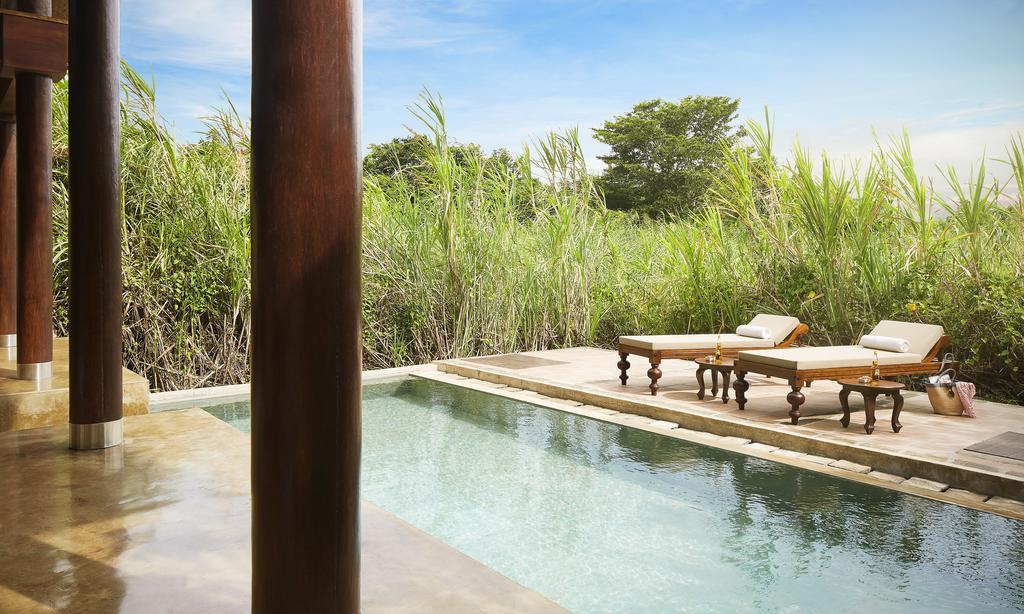 Forest Dwelling with Pool,339337816:JPEG