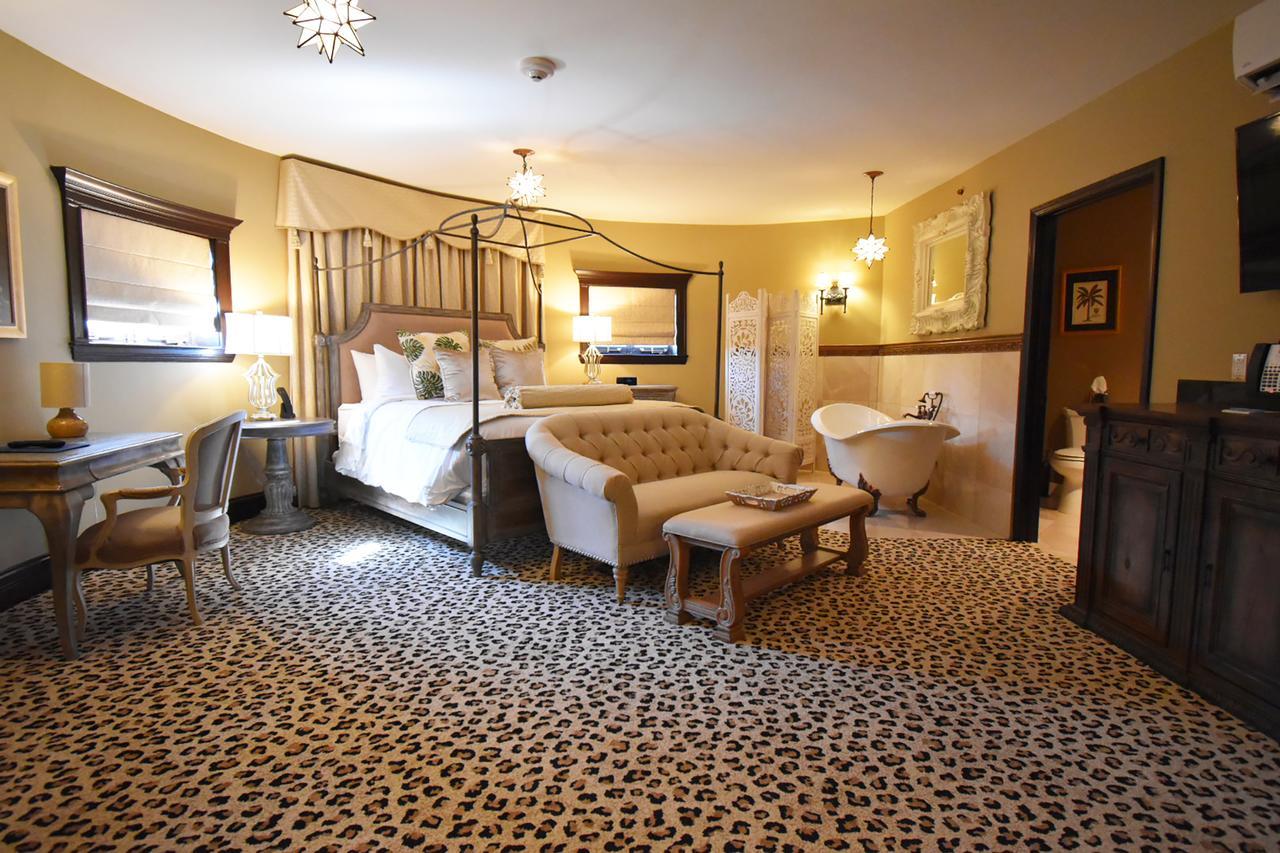 Premium Suite