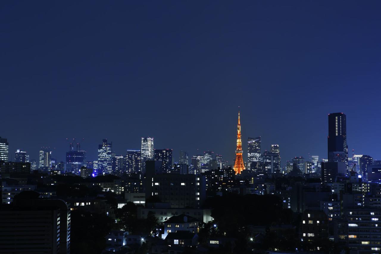Tower Side Deluxe Twin Room (Non-Smoking) Tokyo Tower View + Sauna Access