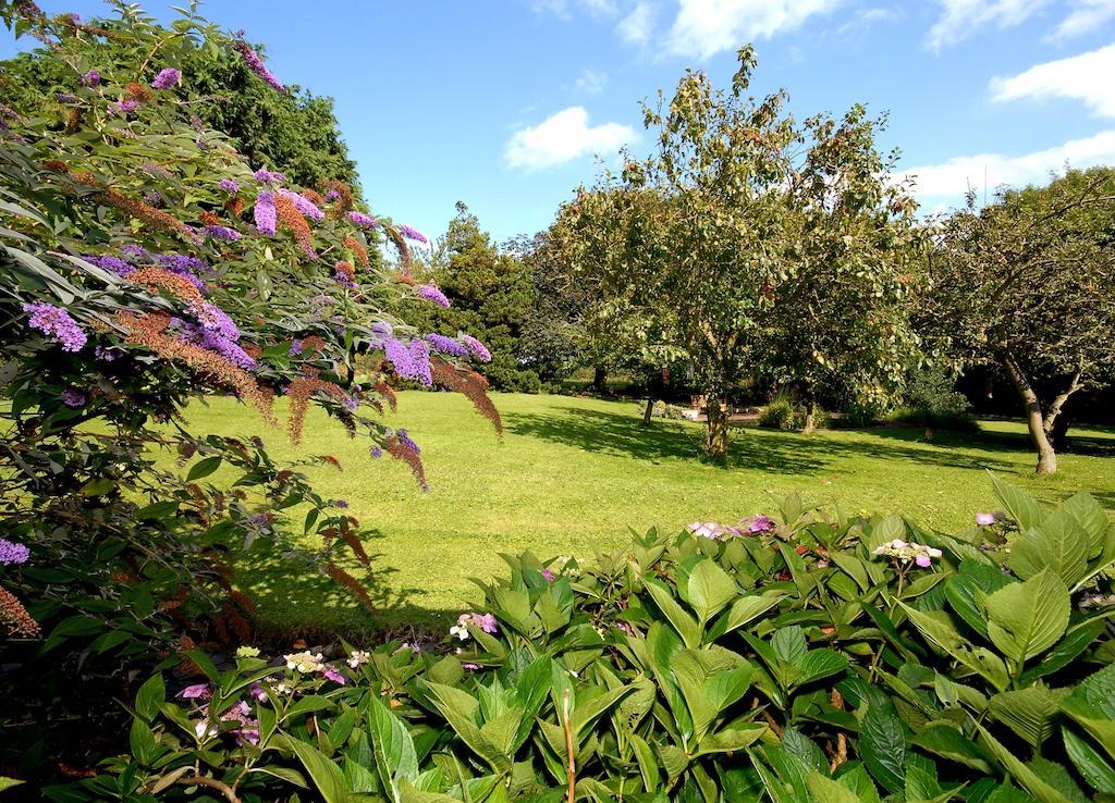 Premier Twin Room with Garden View