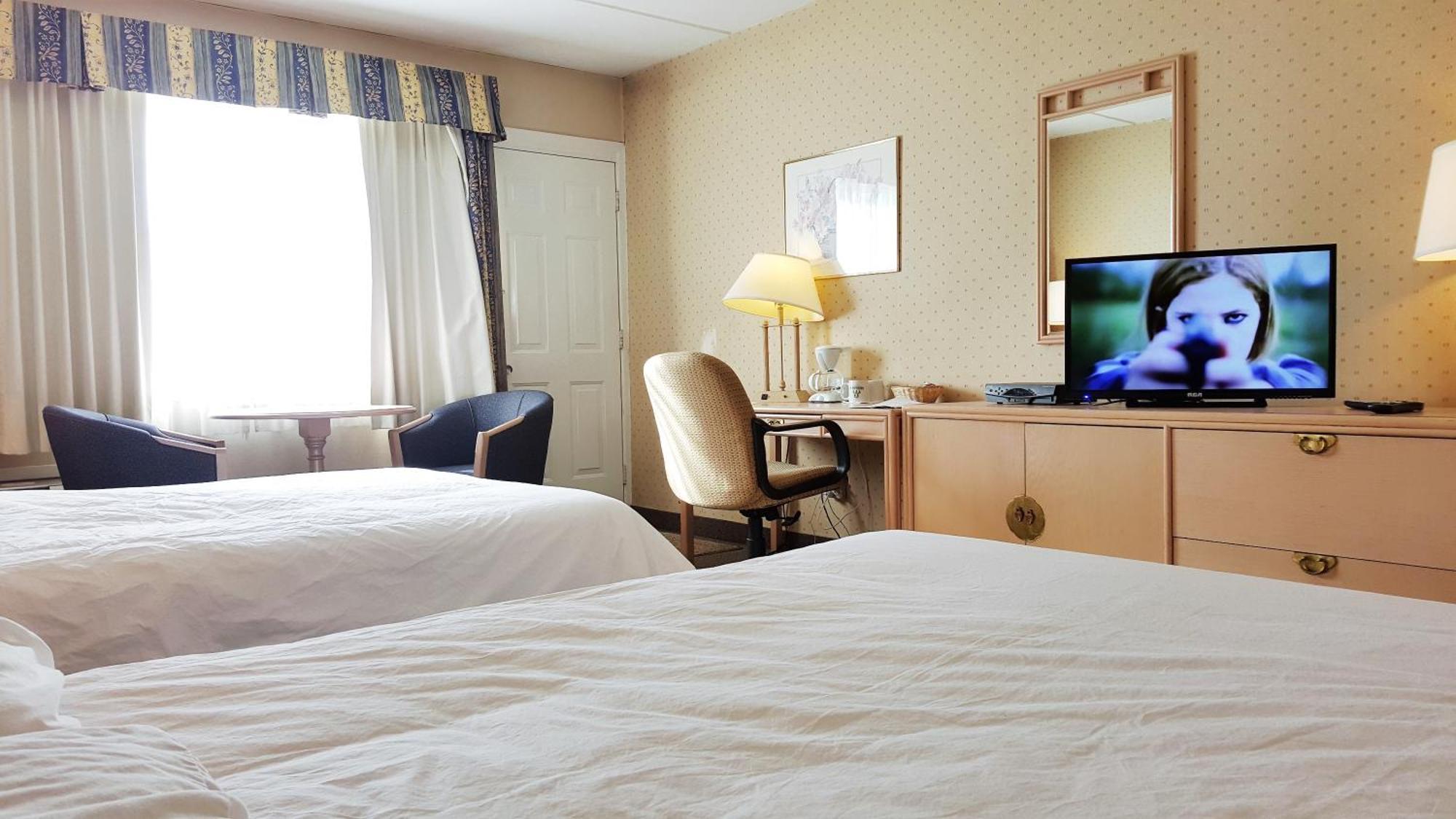 Standard Double Room with Two Double Beds