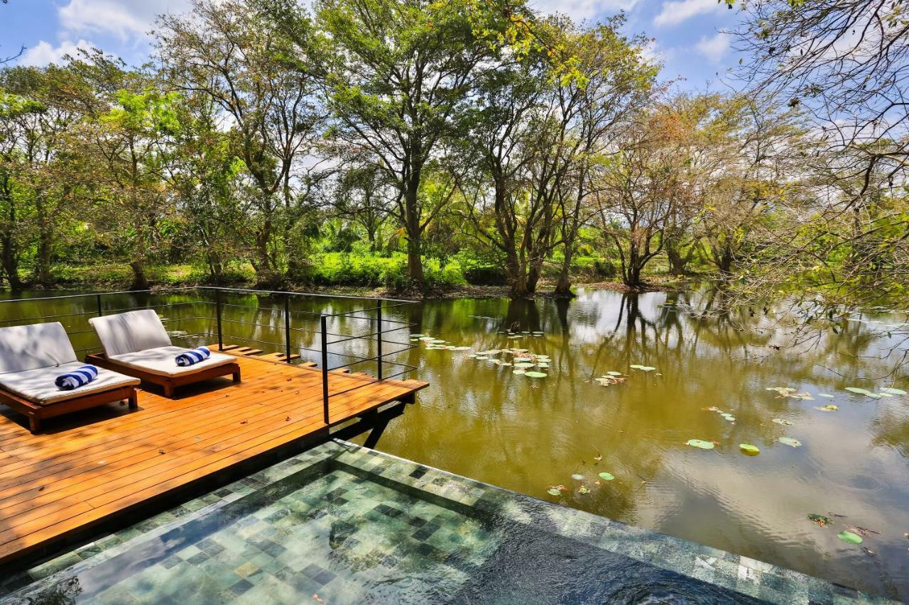 Kumbuk Water Chalet Plunge Pool on food