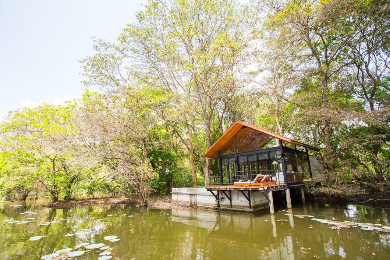 Kumbuk Water Chalet Plunge Pool on food