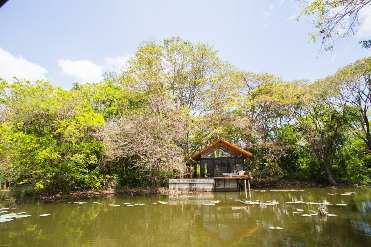 Kumbuk Water Chalet Plunge Pool on food