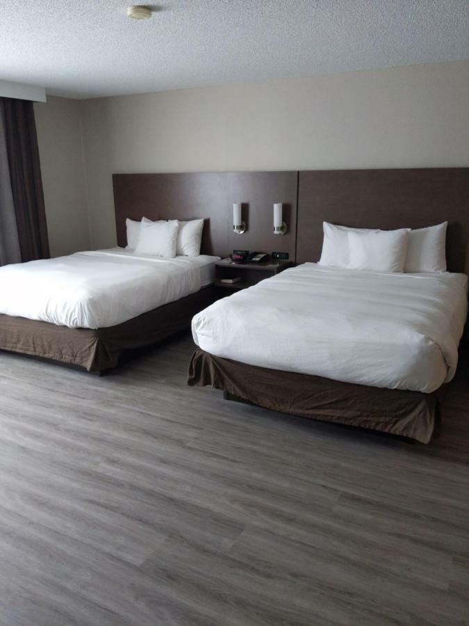 Queen Studio Suite with Two Queen Beds - Non-Smoking