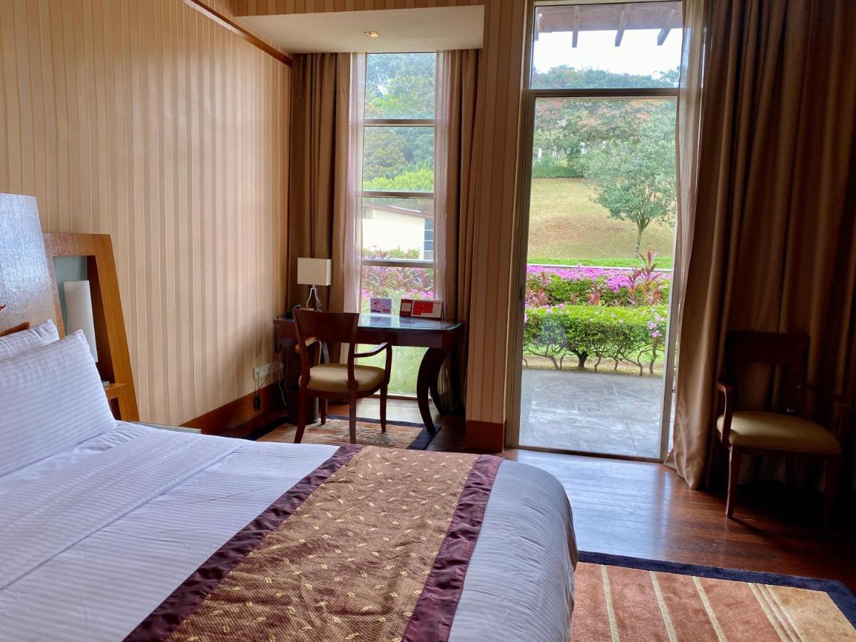 Deluxe Hill View King Room